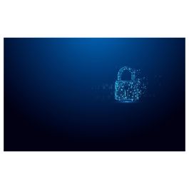 Kingston IronKey Vault Privacy 50 Memoria USB 32GB Tipo A 3.2 Gen 1 Negro Azul