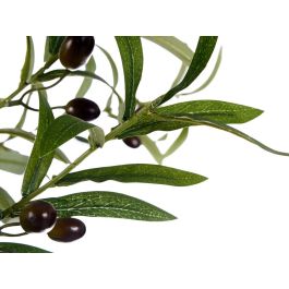 Ibergarden Planta Olivo con Maceta 150 cm (Maceta 16x16x15 cm) Plástico/Cable (Hierro) Verde