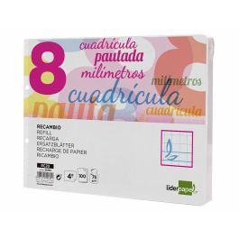 Recambio Liderpapel Cuarto Apaisado Pautaguia 100 Hojas 75 gr Cuadriculado Pautado 8 mm Con Margen 2 Taladros Precio: 1.5900005. SKU: B1G8T2S637