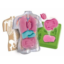 Clementoni Juego Educativo de Anatomía Humana con Órganos Squishy Desmontables y Partes del Cuerpo - STEM para Niños a partir de 7 Años Clementoni Juego Educativo de Anatomía Humana con Órganos Squishy Desmontables y Partes del Cuerpo - STEM para Niños a partir de 7 Años