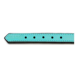 Collar Piel Acolchado 55 cm X 25 mm Turquesa