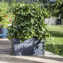 EDA Pared con ruedas Tuscany - 79 x 35 x H 39 cm - 74 L - Negro EDA Pared con ruedas Tuscany - 79 x 35 x H 39 cm - 74 L - Negro
