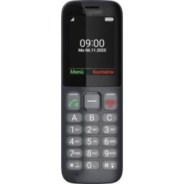 Gigaset S30853-H1236-R101 Teléfono Inalámbrico, Pantalla 6,1 cm (2.4"), Negro/Gris