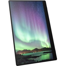 Monitor con Pantalla Táctil Ricoh 150BW 15,6"