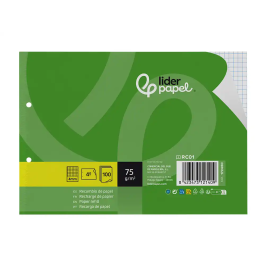 Liderpapel Recambio Cuadernos A5 Apaisado, 100 Hojas Cuadrícula 4 mm, Papel 75 g, 2 Taladros con Margen
