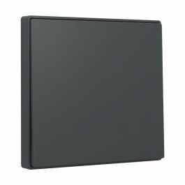 GIRA 329628 Wippe System 55 Anthrazit Interruptor con Tapa para Marco Gira Precio: 8.6394. SKU: B1HYXG2EC4