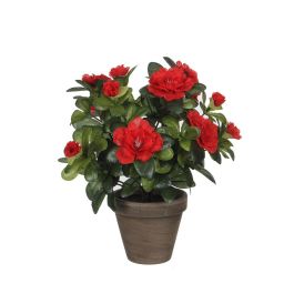 Azalea artificial roja en tiesto gris ø11,5x27cm Azalea artificial roja en tiesto gris ø11,5x27cm Precio: 12.89000053. SKU: S7908487