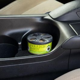 Ambientador para Coche Paradise Scents PER80100 Citronela Invisible Precio: 6.50000021. SKU: B13RQ5TKD6