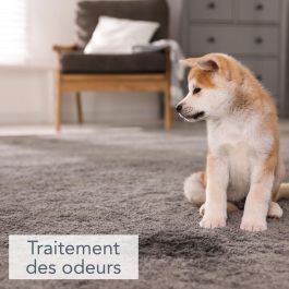 Saniterpen SAN3519220048626 Sanifresh Limpiador Desinfectante 1L