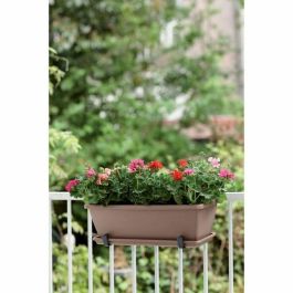 Elho Platillo Barcelona Balconniere 50 para maceta exterior taupe 45 cm de diámetro, plástico, sistema antirotura de raíces
