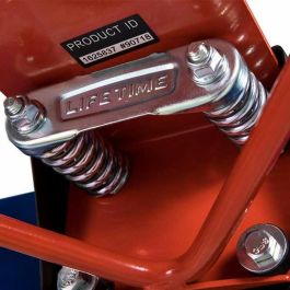 Canasta de Baloncesto Lifetime Lifetime 121 cm