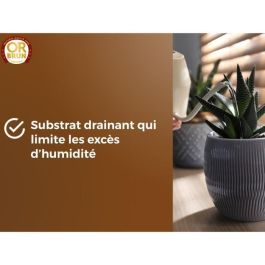 Or Brun OBRTCAC6U Sustrato para cactus y plantas suculentas Brown Gold 6L Promueve el crecimiento Or Brun OBRTCAC6U Sustrato para cactus y plantas suculentas Brown Gold 6L Promueve el crecimiento