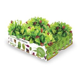 Batlle Caja baby leaves - Kit de cultivo con 4 variedades: rúcula, acelga, espinaca y cebollino, 40x29x10,5cm