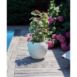 EDA Maceta Graphit redonda Ø50cm 46L Blanco encalado, anticongelante y anti-UV, doble pared, con retención de agua, interior/exterior EDA Maceta Graphit redonda Ø50cm 46L Blanco encalado, anticongelante y anti-UV, doble pared, con retención de agua, interior/exterior