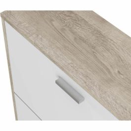 Mueble Zapatos 2 Puertas Roble-Blanco