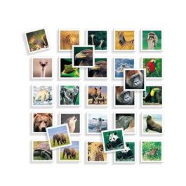 Juego memo photo animales con 54 fichas Juego memo photo animales con 54 fichas