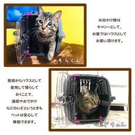 Ferplast Jet 10 Transportín para Gatos y Perros Pequeños, Colores Surtidos