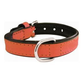 Gloria Collar Piel Acolchado 55 cm X 25 mm Coral Precio: 9.78999989. SKU: S6100761