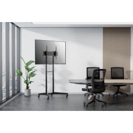 Neomounts FL50-540BL1 Carro Móvil Soporte de Suelo para Pantallas 37-70" Carga 50kg, Ajuste Altura 128.5-145cm, VESA 600x400 Negro