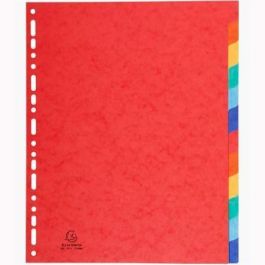 Exacompta Separadores Nature Future A4+ C-Surtidos Cartulina Lustrada 225 gr 12 Posiciones Precio: 3.50000002. SKU: B1AJBDMPST