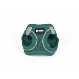 Arnés para Perro Gloria Trek Star 27-28 cm 31-34,6 cm Turquesa XS