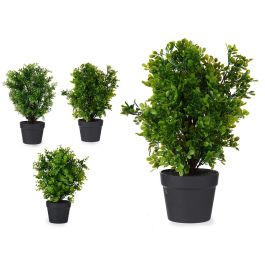 Maceta Plastico Negra Grande Plantas Verdes Surtidos Ibergarden 25X50CM (3 Unidades) Precio: 45.8900002. SKU: B17WBL6SEY