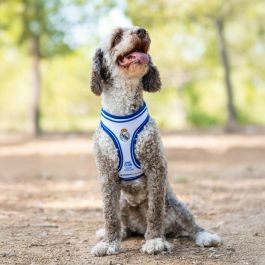 Real Madrid Arnés para Perros Talla S-M Color Azul