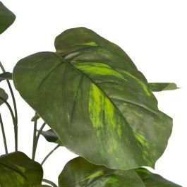 Rama Potos Verde "Pvc" 70 X 63 X 63 cm