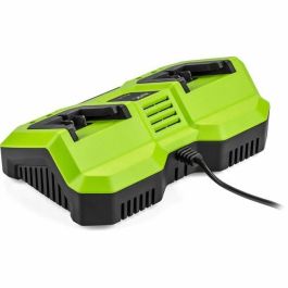 Fieldmann FIE8590669303960 - Cargador Doble para Baterías 20V - Carga Rápida 2 Ah en 60 min, Compatible con 2 Ah y 4 Ah