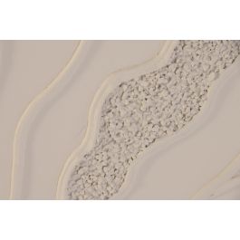 DKD Home Decor Cuadro Moderno Beige Lienzo PS 62 x 92 x 4.5 cm (2 Unidades)