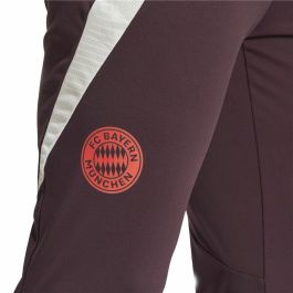 Pantalón Largo Deportivo Adidas Fc Bayern 24/25 Tiro24 Marrón Granate Hombre