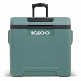 Igloo IGL7315091531979 Nevera Eléctrica, Doble Voltaje 12V y 230V, 42 Litros, Serie Abeto