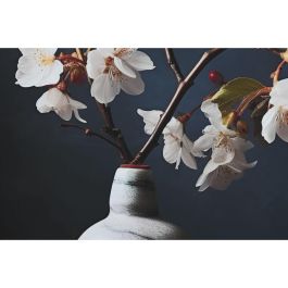 Cuadro Home ESPRIT Oriental Jarrón 80 x 3 x 120 cm (2 Unidades)