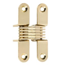CEAM Bisagra Invisible para Puertas de Muebles, Acabado Níquel Latonado, Hierro y Zamak, Soporta 8 kg, Movimiento Suave Precio: 4.58999948. SKU: B1HLFY2DYP