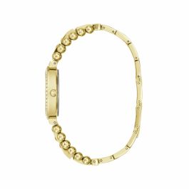Reloj Mujer Guess GW0401L2 (Ø 30 mm)
