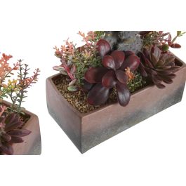 DKD Home Decor Planta Decorativa Cactus Naranja Rosa 19x9x22 cm Pack 2 Unidades