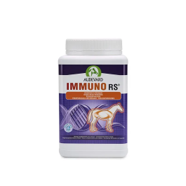 Audevard Immuno Rs Alimento Complementario Caballos para el Sostén del Sistema Inmunitario 1 kg con Echinacea Espirulina Glutamina Vitaminas Precio: 53.5000004. SKU: B1J29K898S