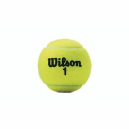 Pelotas de Tenis Wilson Championship XD (3 pcs)