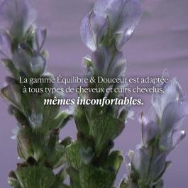 L'Occitane En Provence AROMA Acondicionador Hidratante Nutritivo con Aceites Esenciales para Equilibrio y Suavidad Sin Silicona 250 ml