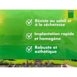 BHS Césped Rústico Sur 1kg Césped para 40 m². Festuca alta, resistente a condiciones secas. Rápido y consistente.