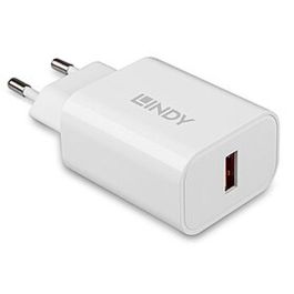 Lindy Cargador USB Tipo A 18W Precio: 8.49999953. SKU: B1732VJN8X