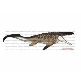 Animales Jurassic World