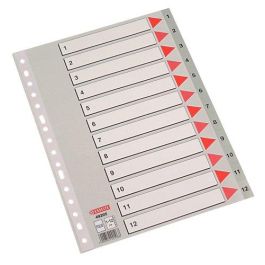 Esselte Índice Numérico Multitaladro 1-12, Polipropileno Folio Gris con Carátula Índice Cartón Color Precio: 3.88999996. SKU: B12TJ4X22C