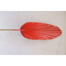 DKD Home Decor Rama Rosa Naranja 2 x 148 x 22 cm (12 Unidades)