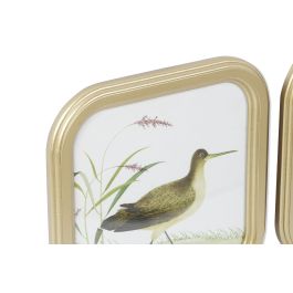 DKD Home Decor Cuadro Cottage 2 x 30 x 30 cm Aves Beige Verde Dorado Cristal MDF (6 Unidades)