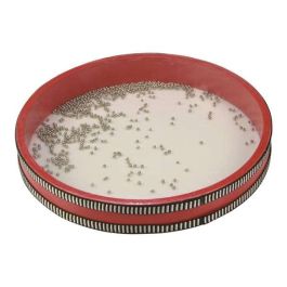 Reig Tambor Oceano 28 cm Diametro Plástico Precio: 15.49999957. SKU: S2425206