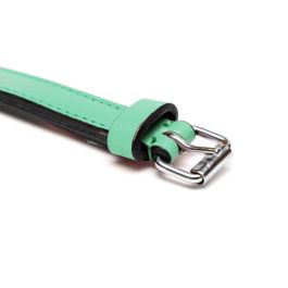 Collar Piel Acolchado 50 cm X 25 mm Verde Collar Piel Acolchado 50 cm X 25 mm Verde