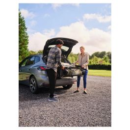 Coleman Ultimate Terrain Bollerwagen 2226531 - Carro de Transporte Plegable, Verde, 180 kg de Carga, 132 L