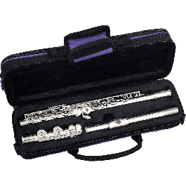 Flauta Travessera (Mecanismo De Mi- Sol No Alineado) Fl400Re Precio: 302.78999949. SKU: B13A8S7VNP
