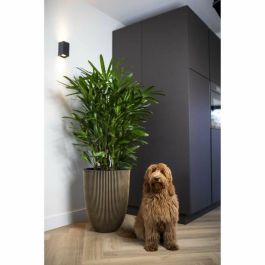 Capi Europe Florero Elegant Groove 46x58 cm Negro y dorado 445495